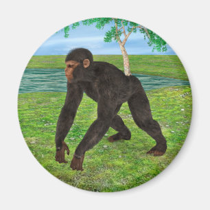 Chimpansee Magneet