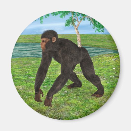 Chimpansee Magneet (Voorkant)
