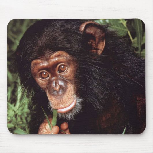 Chimpansee Muismat (Voorkant)