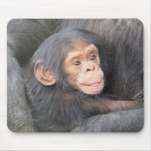 Chimpansee Muismat