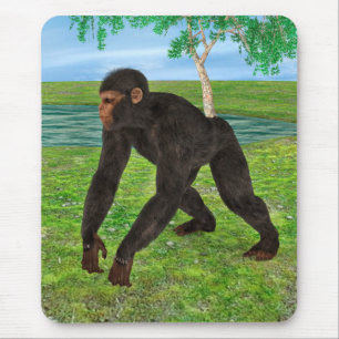 Chimpansee Muismat