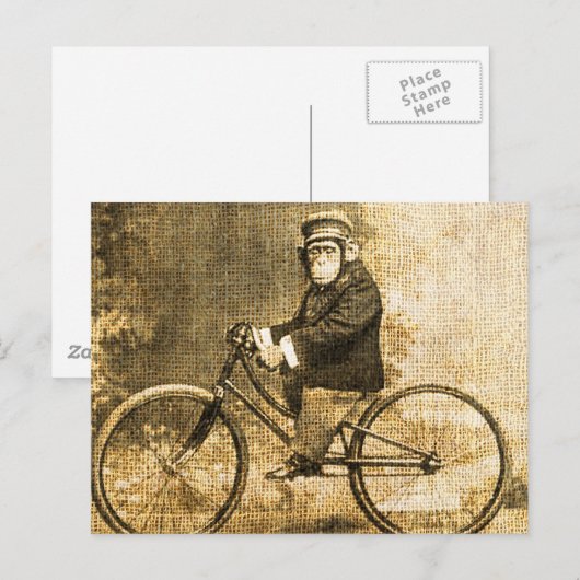 chimpansee op een fiets briefkaart (Voorkant / Achterkant)