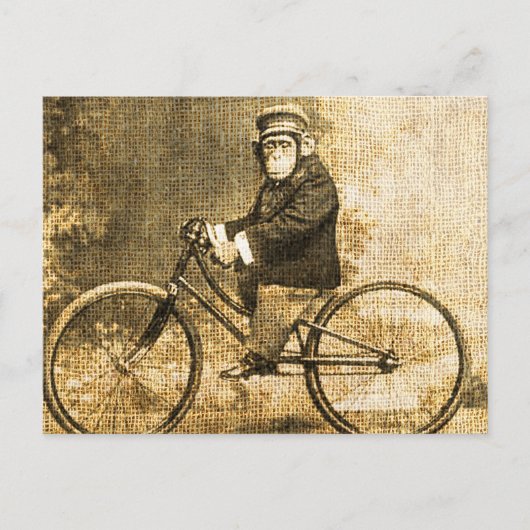  chimpansee op een fiets briefkaart (Voorkant)