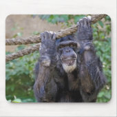 Chimpansee op touw muismat (Voorkant)