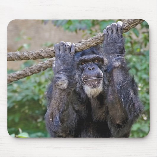 Chimpansee op touw muismat (Voorkant)