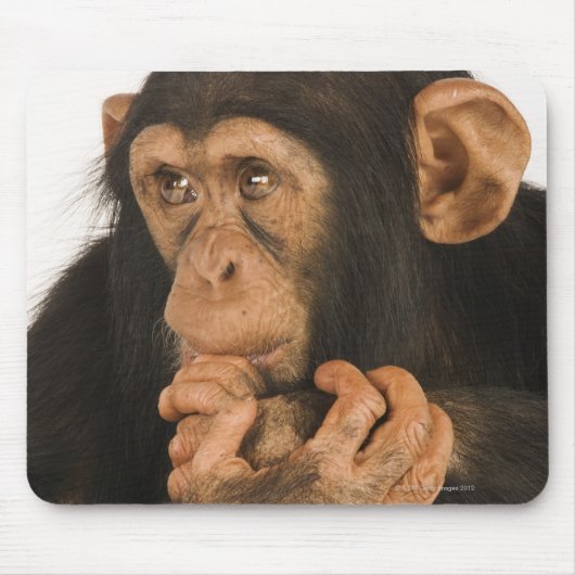 Chimpansee (Pan troglodytes). Jonge speelbal 2 Muismat (Voorkant)