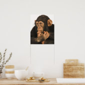 Chimpansee (Pan troglodytes). Jonge speelbal 2 Poster (Keuken)