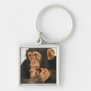 Chimpansee (Pan troglodytes). Jonge speelbal 2 Sleutelhanger
