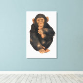 Chimpansee (Pan troglodytes). Jonge speelster Canvas Afdruk (Insitu (Houten vloer))