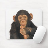 Chimpansee (Pan troglodytes). Jonge speelster Muismat (Met muis)