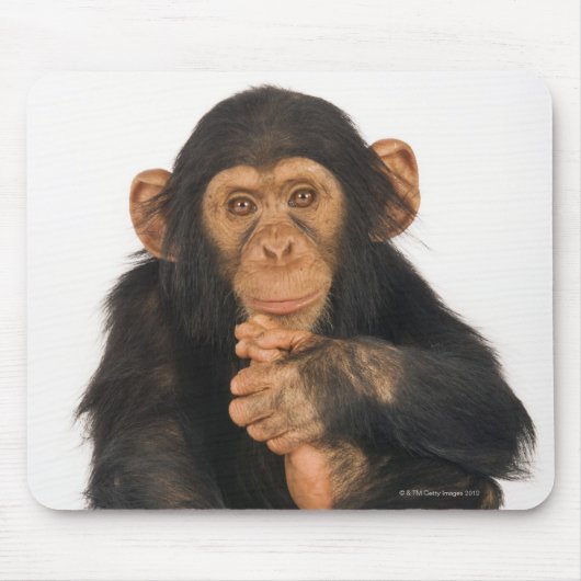 Chimpansee (Pan troglodytes). Jonge speelster Muismat (Voorkant)