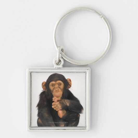 Chimpansee (Pan troglodytes). Jonge speelster Sleutelhanger (Voorkant)