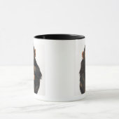 Chimpansee (Pan troglodytes) Mok (Midden)