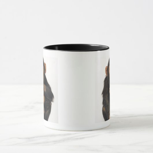 Chimpansee (Pan troglodytes) Mok (Midden)