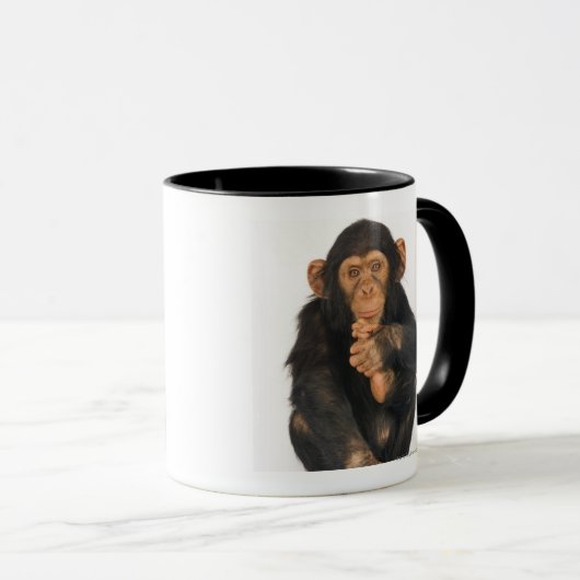 Chimpansee (Pan troglodytes) Mok (Voorkant rechts)