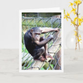 Chimpansee Portret Kaart (Gele Bloem)