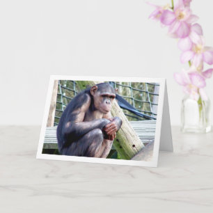 Chimpansee Portret Kaart