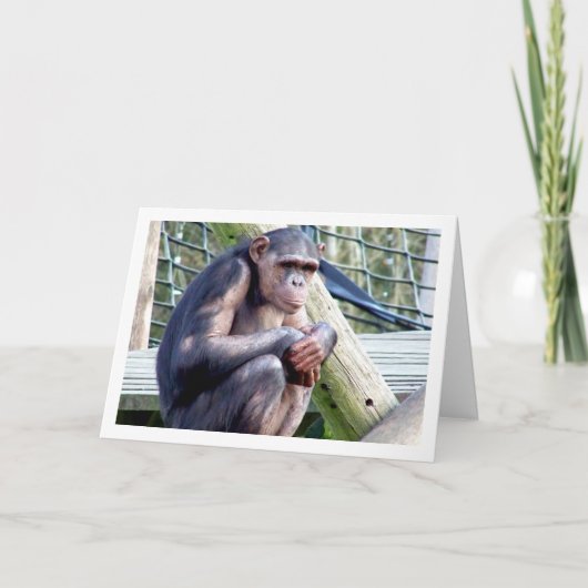 Chimpansee Portret Kaart (Voorkant)
