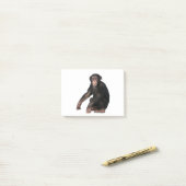 Chimpansee Post-it® Notes (Op bureau)