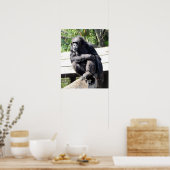 Chimpansee Poster (Keuken)