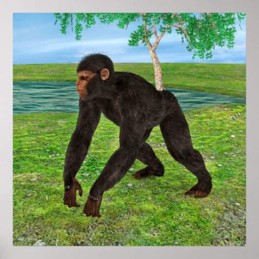 Chimpansee Poster (Voorkant)