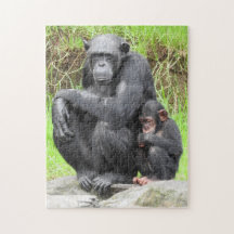 Chimpansee Puzzle