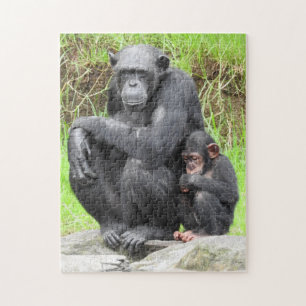 Chimpansee Puzzle Legpuzzel