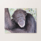 Chimpansee Puzzle Legpuzzel (Horizontaal)
