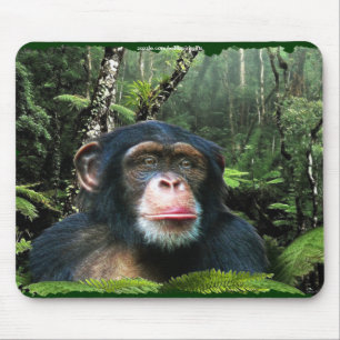 Chimpansee Rainforest Conservation Mousepad Muismat