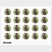 CHIMPANSEE RONDE STICKER (Vel)