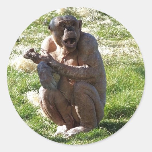 CHIMPANSEE RONDE STICKER (Voorkant)