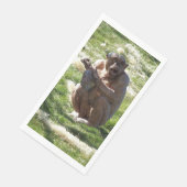 CHIMPANSEE SERVET (Hoek)