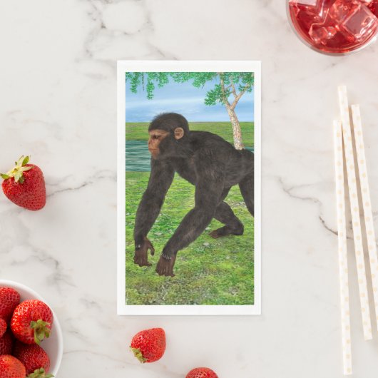 Chimpansee Servet (Insitu)