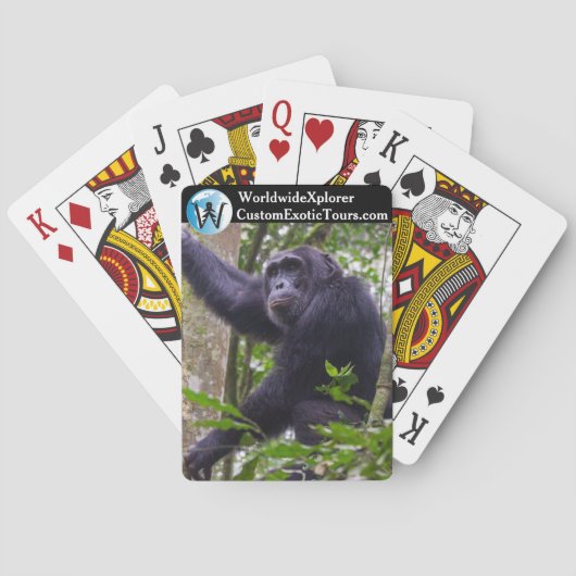 Chimpansee speelt kaarten (Achterkant)