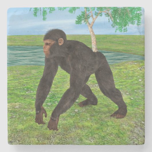 Chimpansee Stenen Onderzetter (Voorkant)