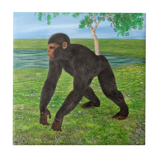 Chimpansee Tegeltje (Voorkant)