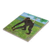 Chimpansee Tegeltje (Zijkant)