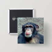 Chimpansee Vierkante Button 5,1 Cm (Voorkant /achterkant)