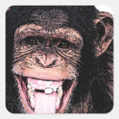 Chimpansee Vierkante Sticker (Voorkant)