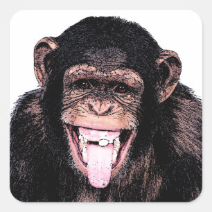Chimpansee Vierkante Sticker