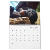 Chimpansee Wall Agenda Kalender (Feb 2027)
