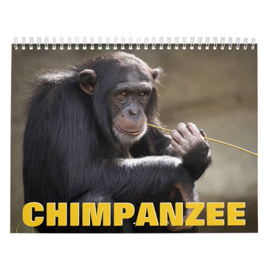 Chimpansee Wall Agenda Kalender (Hoes)