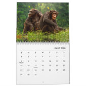 Chimpansee Wall Agenda Kalender (Mar 2026)