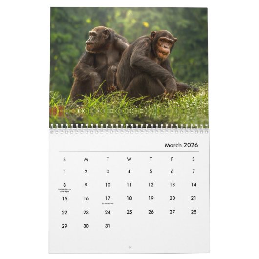 Chimpansee Wall Agenda Kalender (Mar 2026)