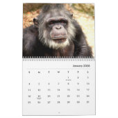 Chimpansee Wall Agenda Kalender (Jan 2026)