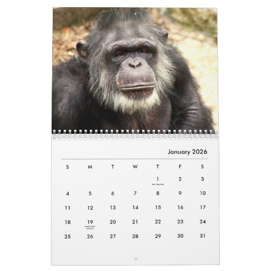 Chimpansee Wall Agenda Kalender (Jan 2026)