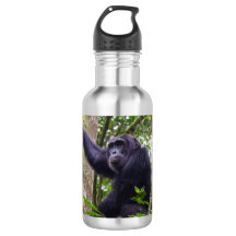 Chimpansee waterfles