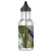 Chimpansee waterfles (Links)