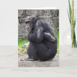 Chimpansee-Wenskaart Kaart