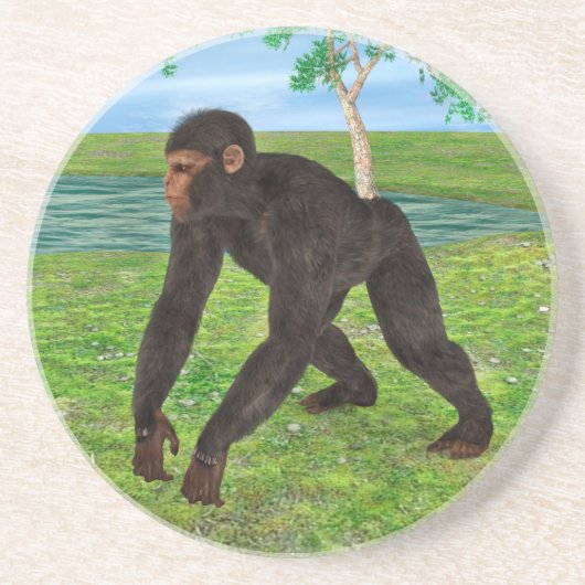 Chimpansee Zandsteen Onderzetter (Voorkant)